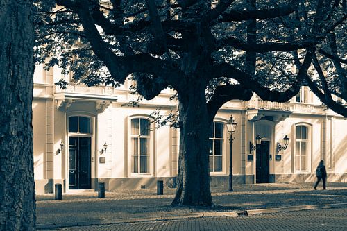 La Haye de Louis Couperus sur Raoul Suermondt