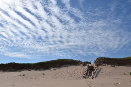 Het strand op een zomerochtend