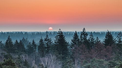 The Sunrise