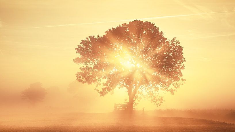 Juste un rêve par Halma Fotografie
