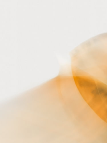 Pflanze Abstrakt I