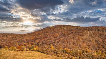 A view of the Moltkewarte, a lookout tower near Sangerhausen by Andreas Völkel