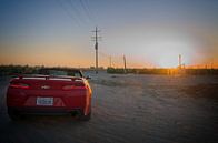 Camaro at the Californian Orchard by Arjen van de Belt thumbnail