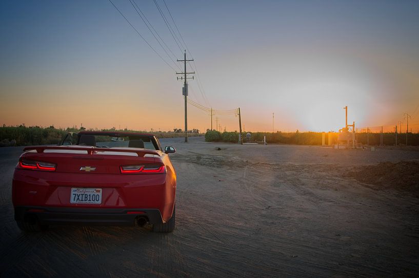 Camaro at the Californian Orchard by Arjen van de Belt
