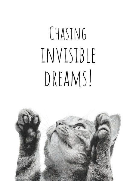 Coole Katze - Träumer von Melanie Viola