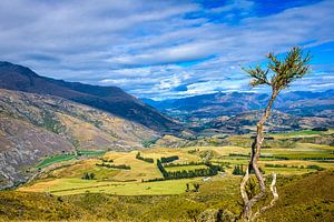 Lake County, Südinsel, Neuseeland