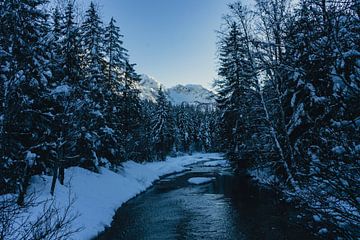 Winterlandschap in de Alpen van Studio Nieuwland