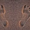 Footprint van Marc Arts