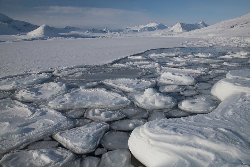 Ice floes by Marleen Baas