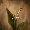 Muguet dans une douce atmosphère vintage sur But First Framing