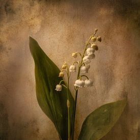 Maiglöckchen in sanfter Vintage-Atmosphäre von But First Framing