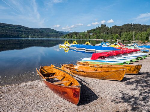 Bateaux sur la rive du Titisee