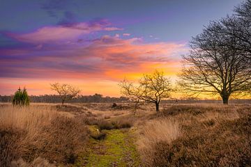 Morgenfarben von snippefotografie