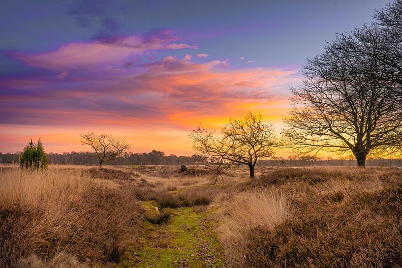 Morgenfarben von snippefotografie