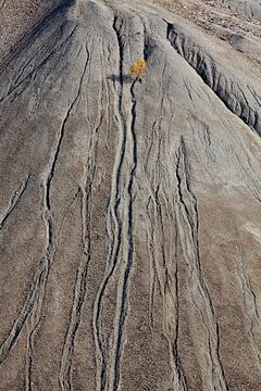 Mijnbouwlandschap in de regio Mansfeld/Zuid-Harz van t.ART