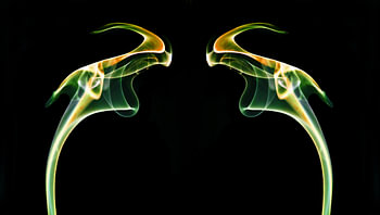Die Drachen