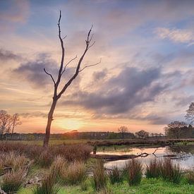 Ven in Drenthe at sunset by John Leeninga
