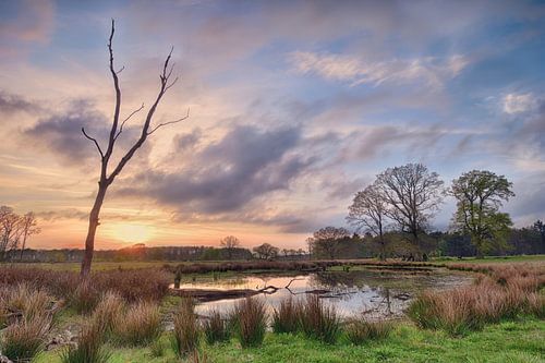 Ven in Drenthe bij zonsondergang