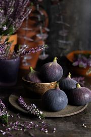 Figs by Xan Photography