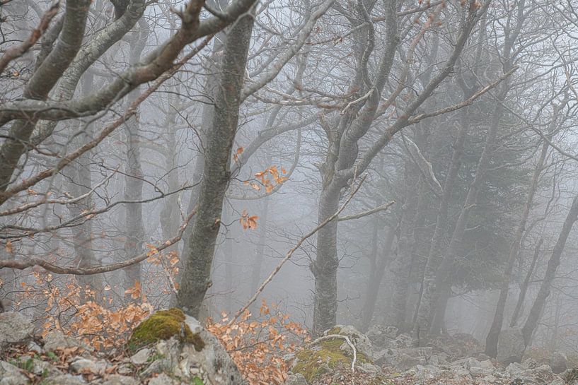 Brouillard sur le Puy Mary par Hanneke Luit