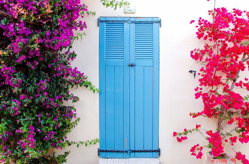 The blue door with Bougainvillea by Jurjen Jan Snikkenburg