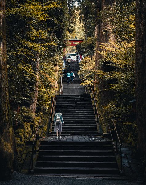 Kyoto by Hello Pompoyo
