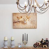 Photo de nos clients: Des lions dans l'herbe par Marijn Heuts, sur toile