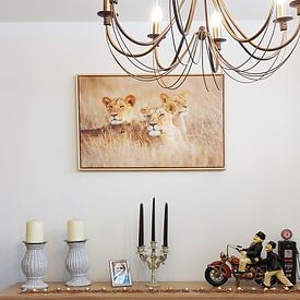 Customer photo: Lions in the grass by Marijn Heuts, on canvas