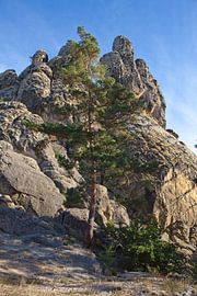 Teufelsmauer (Sachsen-Anhalt) von t.ART