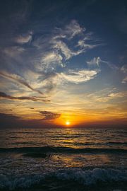 tarragon in the sky by Stefan Lucassen