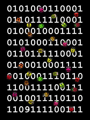 Programme code with bugs #2