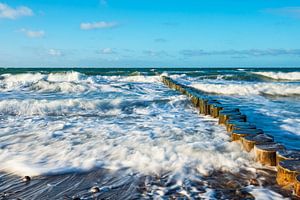 Buhnen an der Küste der Ostsee auf dem Fischland-Darß an einem