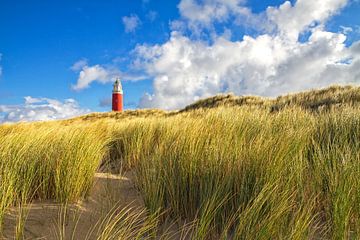 Vuurtoren van Texel / Texel Lighthouse van Justin Sinner Pictures ( Fotograaf op Texel)