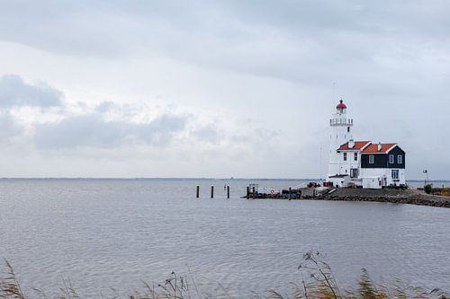 The Horse of Marken