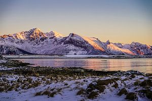 Winterlicht op de Lofoten — Noorwegen