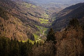 Val Dargent dans les Vosges près de Sainte Marie aux Mines