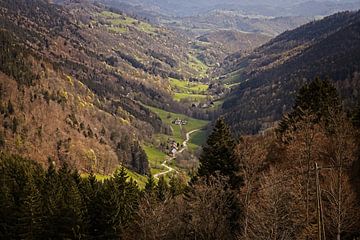 Val Dargent dans les Vosges près de Sainte Marie aux Mines sur Rob Boon