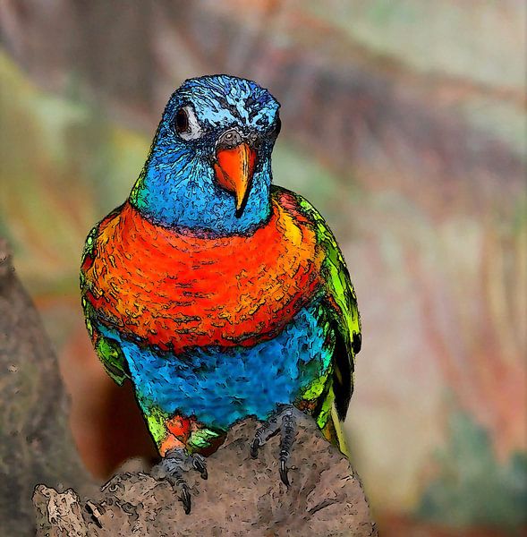 Lori ( bird ) by Jose Lok
