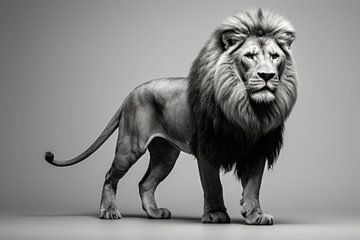 Lion en noir et blanc sur ARTemberaubend