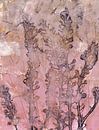 Natuurlijke botanische schoonheid. Planten in roze, oker en taupe. van Dina Dankers thumbnail