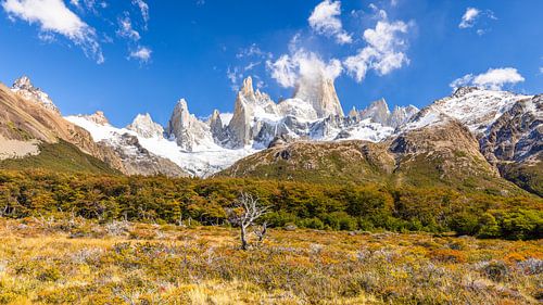 Fitz Roy, El Chalten, Patagonië, Argentinië