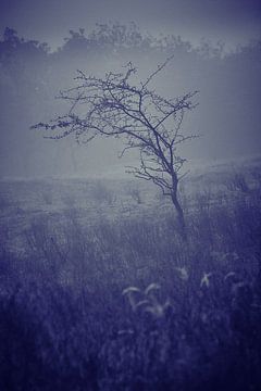 Duinlandschap in de mist van Karel Ham