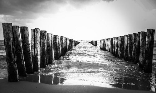 Blick aufs Meer von Dieren en natuur