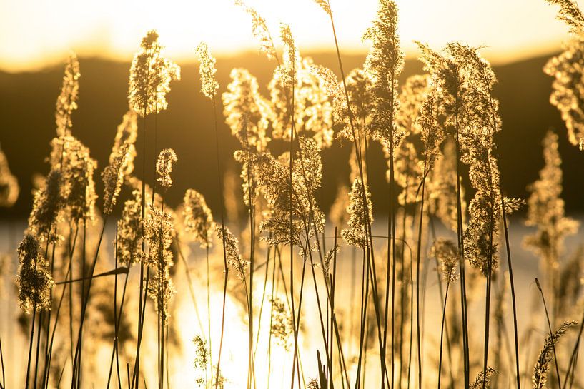 magisch licht von Dirk van Egmond