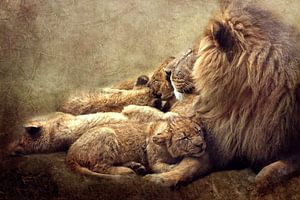 Kuscheln mit Papa