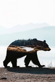 Bear walk in the fog by Poster Art Shop