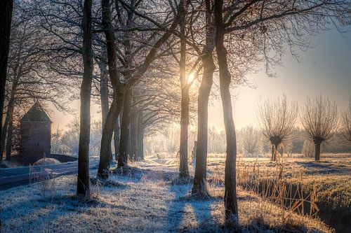 de winter is begonnen.