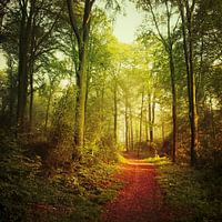 October Forest