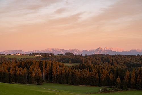 Zonsondergang met uitzicht vanuit de Allgäu op de Ammergauer Alpen met de Säuling en de Zugspitze