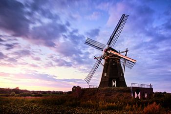 De Grauwe Beer Beesel